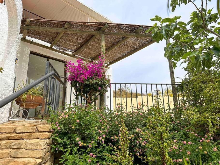 Villa Los Faramondos Naturehouse Turre Dış mekan fotoğraf