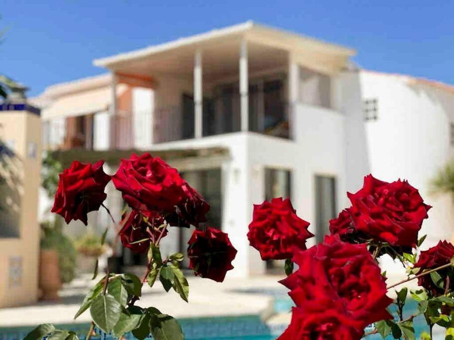Villa Los Faramondos Naturehouse Turre Dış mekan fotoğraf
