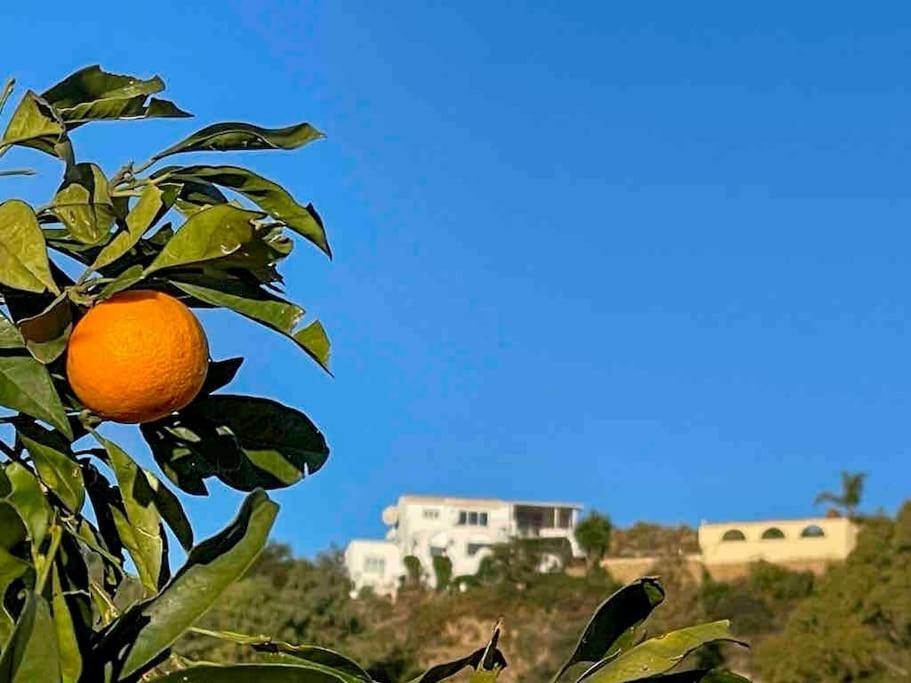 Villa Los Faramondos Naturehouse Turre Dış mekan fotoğraf