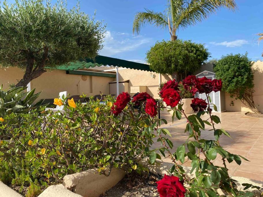 Villa Los Faramondos Naturehouse Turre Dış mekan fotoğraf