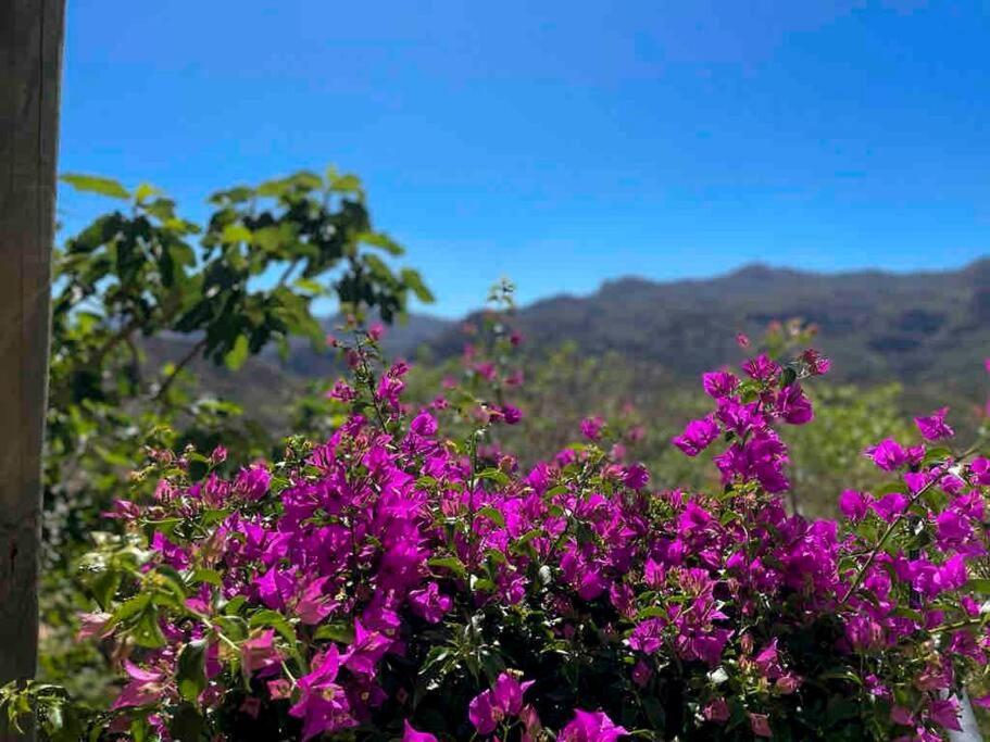 Villa Los Faramondos Naturehouse Turre Dış mekan fotoğraf